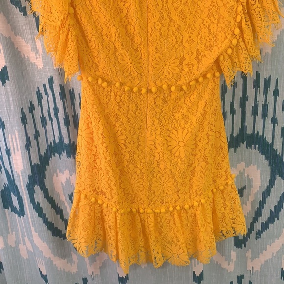 Nanatte Floral Lace Ruffle Pompom Mini Dress - Picture 5 of 5